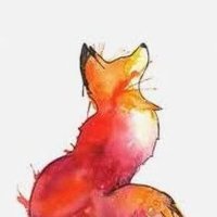 Photo de profil de Renarde