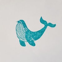 Photo de profil de Seol
